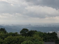 -铁山坪森林公园