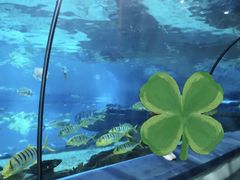 -福州罗源湾海洋世界旅游区