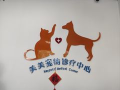 -美美宠物诊疗中心·异宠·骨科(滨江东信分院)