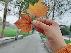 -重庆中央公园(渝北区)