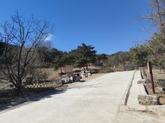 -北京西山国家森林公园