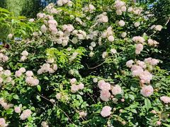 -长春公园(普阳街道)