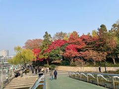 -红梅公园