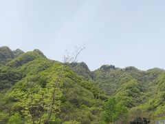 -秦岭终南山世界地质公园翠华山景区