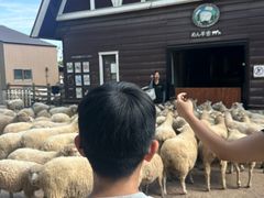 -神户市立六甲山牧场