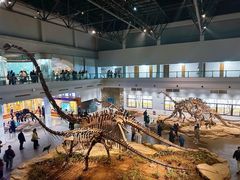 -自贡恐龙博物馆