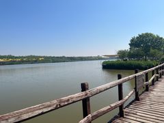 -西青郊野公园