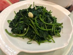 清炒红薯叶-翠清酒家(万丰路店)