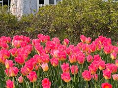 -玄武湖景区-情侣园游乐场