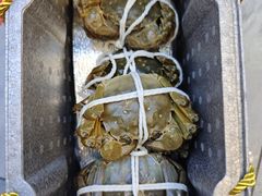 -蟹天蟹地农家菜·阳澄湖大闸蟹(浅水湾店)