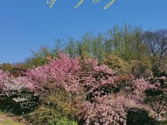 -白马涧龙池景区