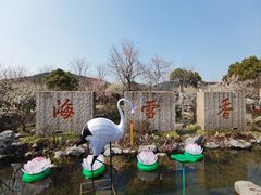 -香雪海