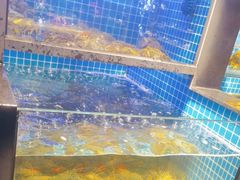 -大鹏饭店·金陵家宴(奥体中心店)