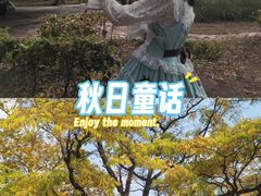 -哈尔滨文化公园