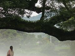 -上坦村