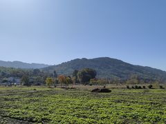 -塔川景区