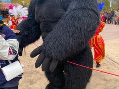 -世界恐龙谷景区