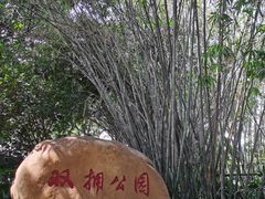 -晓港公园