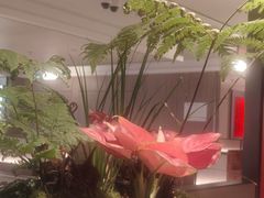 -乡党臊子面(丰庆公园店)