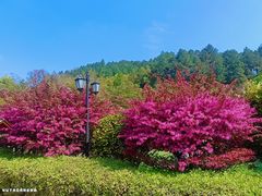 -故乡缘·香格里拉山庄(冷竹路店)