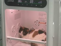 -芭比堂动物医院(广州爱宠下渡路分院)