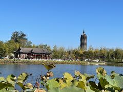 -西海子公园