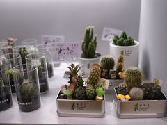 -爱欢洗ifunwash(北辰店)
