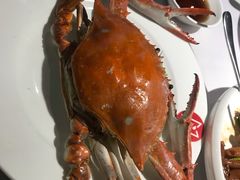 -开海·红岛海鲜虾水饺(石老人店)