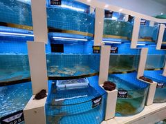 水产区-大金山酒店