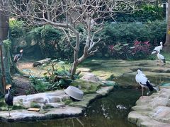 -南宁市动物园