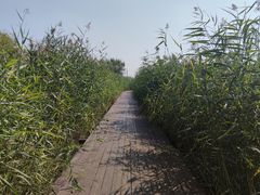 -永定河休闲森林公园