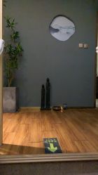 -觅境SPA·私享空间
