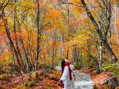 -叠溪松坪沟景区