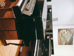 -柏斯琴行(汾阳店)