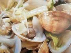 -蓝山咖啡馆(白马湖店)