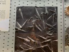 -浙江自然博物院(杭州馆)