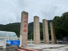 -铁山坪森林公园