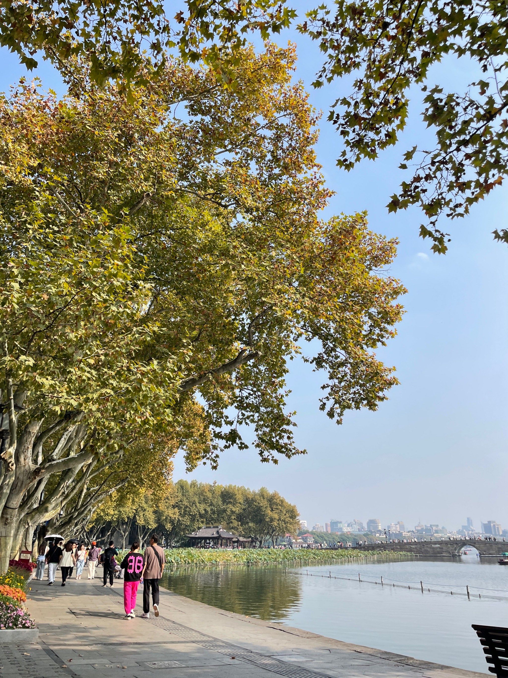 西湖的秋天,是此生绝不能错过的美景