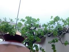-鱼你相聚·河鲜馆(袁家岭店)
