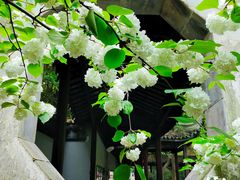 -惠山古镇·寄畅园