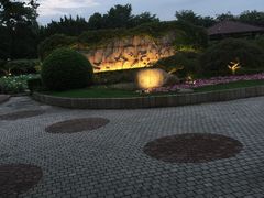 -嘉定紫藤园