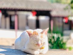 -锦溪古镇