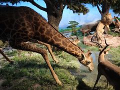 -国家自然博物馆