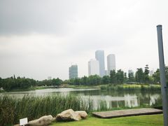-尚贤河湿地