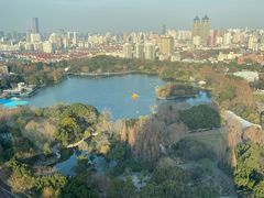 -上海新发展亚太JW万豪酒店