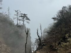 -峨眉山风景名胜区