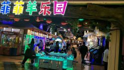 -菲菲羊乐园(苍南银泰城店)