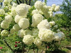 -合肥三国新城遗址公园