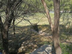 -北京麋鹿生态实验中心