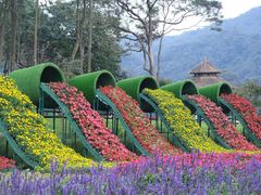 -广州市石门国家森林公园